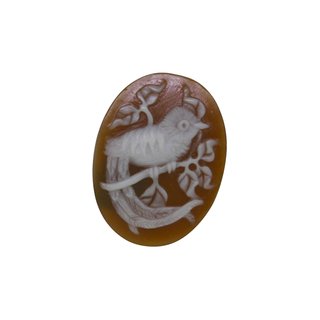 Quetzal cameo